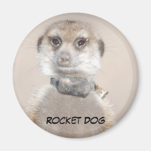 Rocket Dog Magnet Magneet
