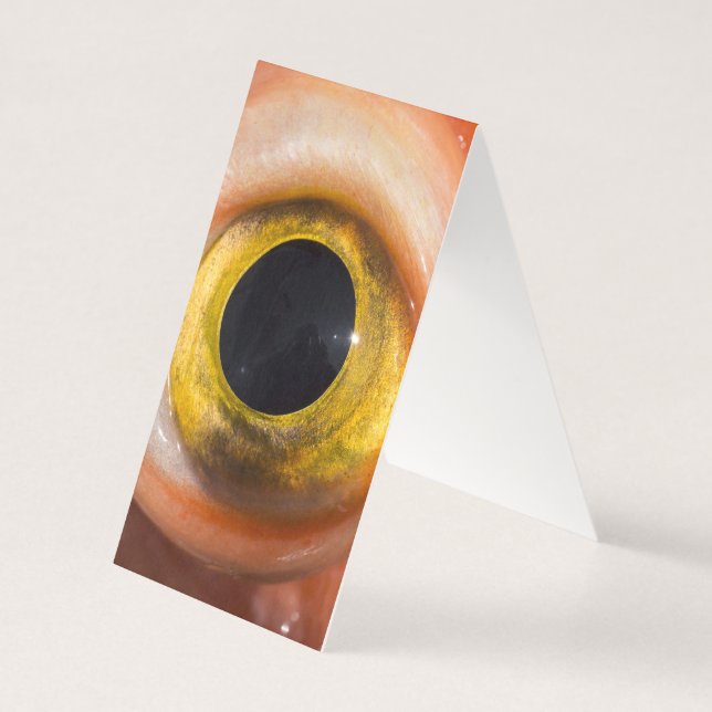 Rockfish Eye Kaart (Achterkant)