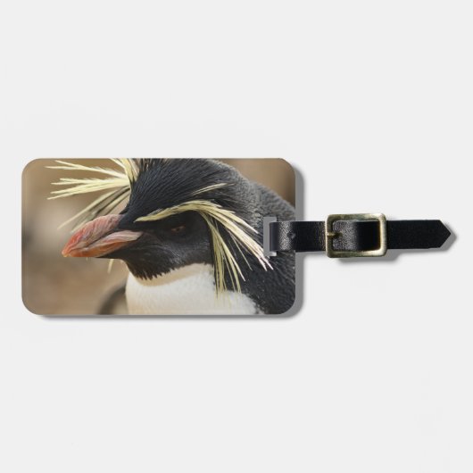 Rockhopper Penguin Bagagelabel (Voorkant horizontaal)