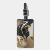 Rockhopper Penguin Bagagelabel (Voorkant verticaal)