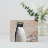 Rockhopper Penguin briefkaart (Staand voorkant)