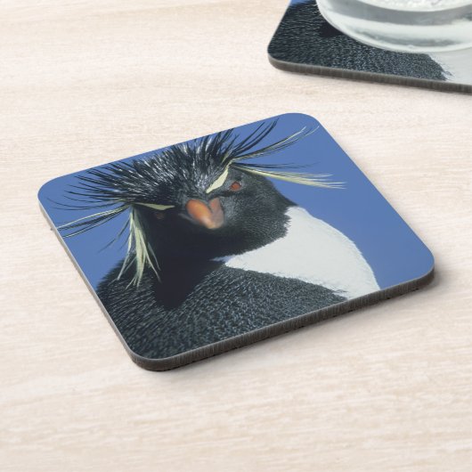 Rockhopper Penguin (Eudyptes chrysocome) Drankjes Onderzetter (Linkerzijde)