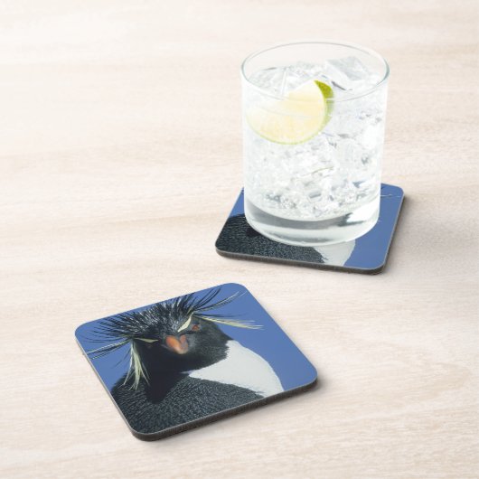 Rockhopper Penguin (Eudyptes chrysocome) Drankjes Onderzetter (Rechterzijde)