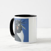 Rockhopper Penguin (Eudyptes chrysocome) Mok (Voorkant links)