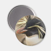 Rockhopper Penguin Magnet Magneet (Voorkant / Achterkant)