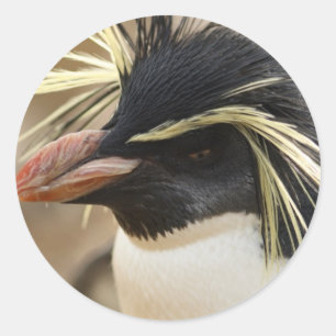 Rockhopper Penguin Stickers