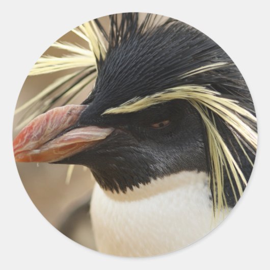 Rockhopper Penguin Stickers (Voorkant)