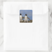 Rockhopper Penguins Eudyptes chrysocome Vierkante Sticker (Tas)