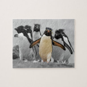 Rockhopper Penguins Legpuzzel