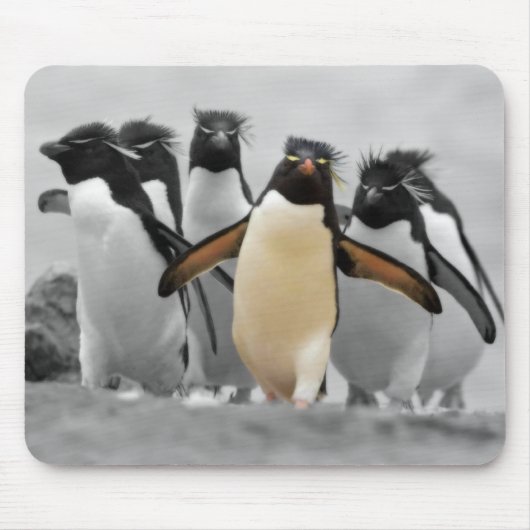 Rockhopper Penguins Muismat (Voorkant)