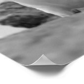 Rockhopper Penguins Poster (Hoek)