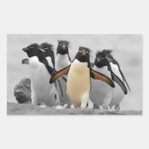 Rockhopper Penguins Rechthoekige Sticker