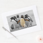 Rockhopper Penguins Rechthoekige Sticker (Envelop)
