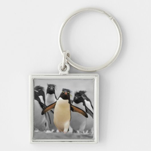 Rockhopper Penguins Sleutelhanger (Voorkant)
