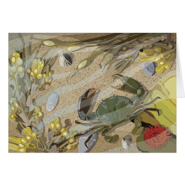 Rockpool (Devant horizontal)