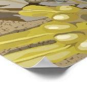 Rockpool Poster (Hoek)