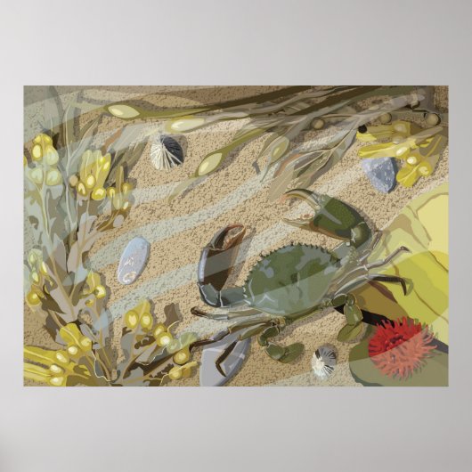 Rockpool Poster (Voorkant)