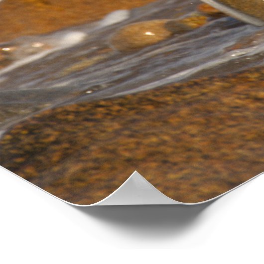 Rocks and Waves in Rhode Island Poster (Coin)