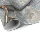 Rocks Cadeaupapier (Rol Hoek)