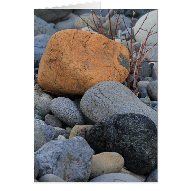 Rocks in het sequoienbos (Voorkant)