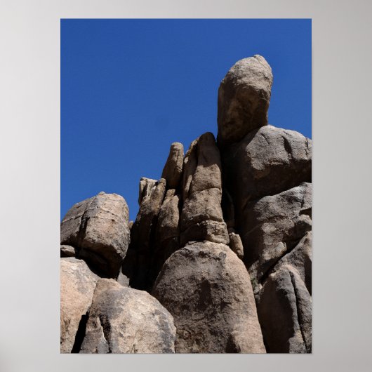 Rocks in Joshua Tree National Park Poster (Voorkant)