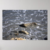 Rocks in the Ocean Poster (Devant)