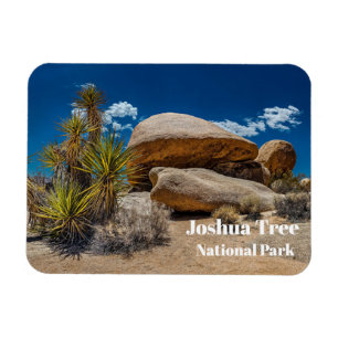 Rocks, Planten, Sand, Joshua Tree National Park, C Magneet