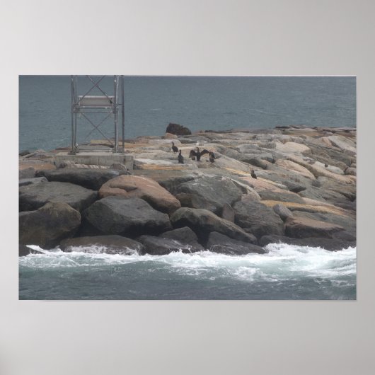 Rocks with Birds Ocean Waterscape Poster (Voorkant)