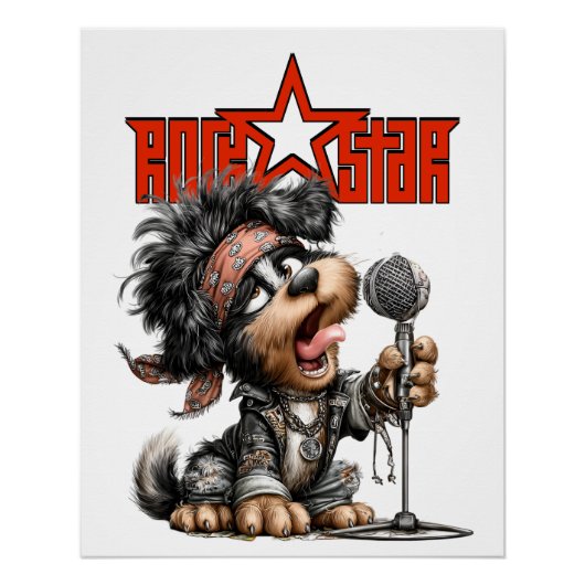 ROCKSTER PERFECT POSTER (Voorkant)