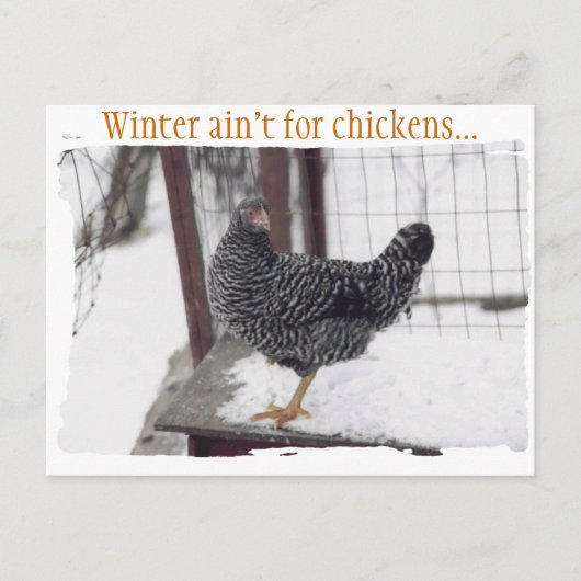 Rocky briefkaart (Voorkant)