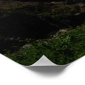 Rocky Coast 36 x 24 Poster (Coin)