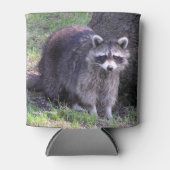 Rocky de Raccoon Blikjeskoeler (Voorkant)