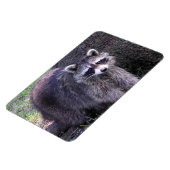 Rocky de Raccoon Magneet (Linkerzijde)