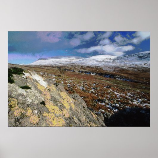 Rocky Field Poster (Voorkant)