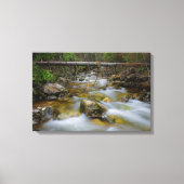 Rocky forest creek canvas print (Voorkant)