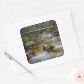 Rocky forest creek sticker (Envelop)