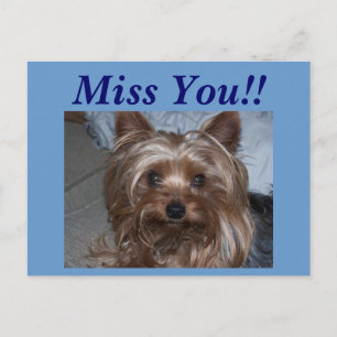 Rocky "Miss You!" Briefkaart