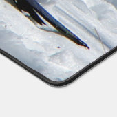 Rocky Mountain Black Billed Magpie (Coin)