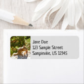 Rocky Mountain Chipmunk Etiket (Insitu)