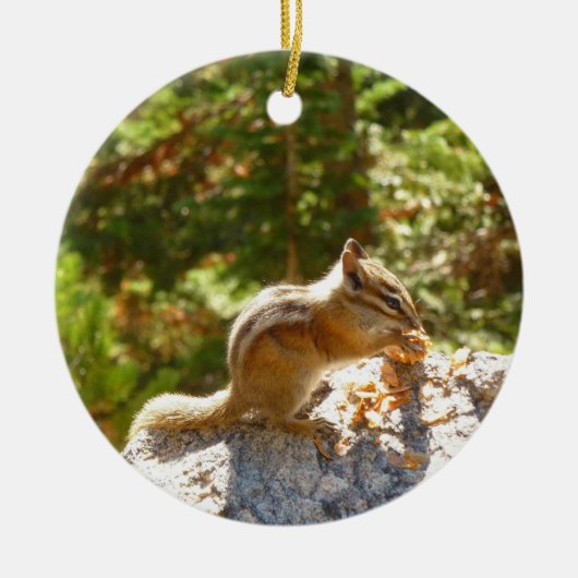 Rocky Mountain Chipmunk Keramisch Ornament (Voorkant)