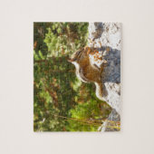 Rocky Mountain Chipmunk Legpuzzel (Verticaal)
