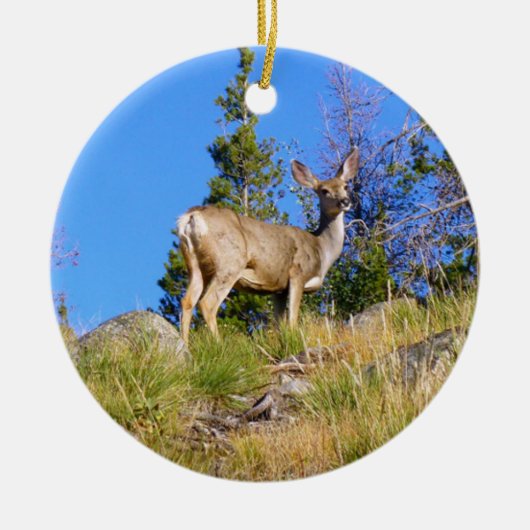 Rocky Mountain Deer Keramisch Ornament (Voorkant)
