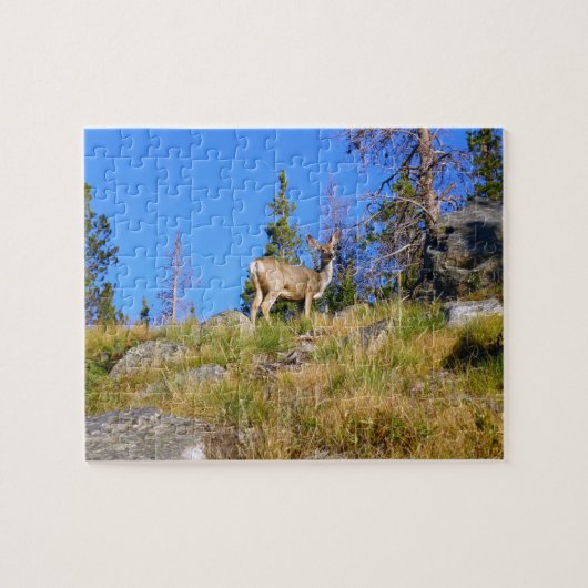 Rocky Mountain Deer Legpuzzel (Horizontaal)