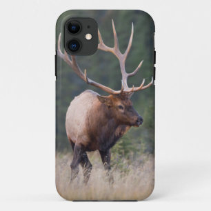 Rocky Mountain Elk iPhone 11 Hoesje