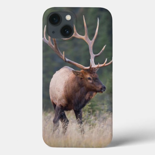 Rocky Mountain Elk Case-Mate iPhone Case (Achterkant)