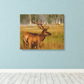 Rocky Mountain Elk | Nationaal Park Yellowstone Canvas Afdruk (Insitu (Houten vloer))