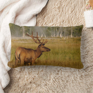 Rocky Mountain Elk Nationaal park Yellowstone Kussen