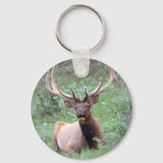 Rocky Mountain Elk Sleutelhanger