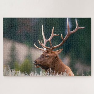 Rocky Mountain Elk Yellowstone National Park Legpuzzel
