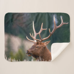 Rocky Mountain Elk Yellowstone National Park Sherpa Deken